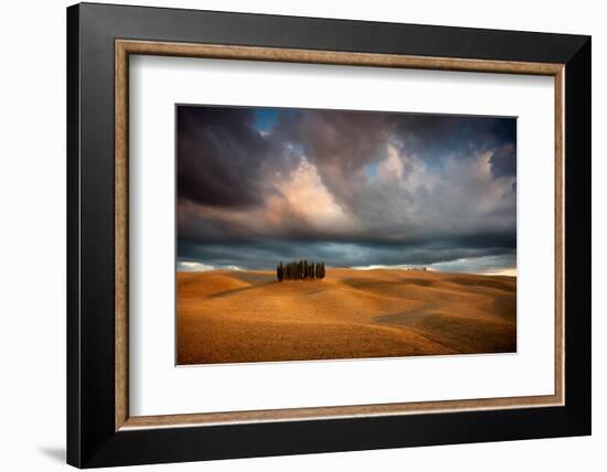 Cypresses-Marcin Sobas-Framed Photographic Print