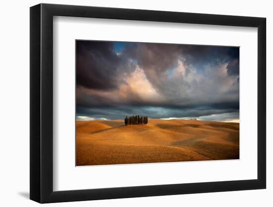 Cypresses-Marcin Sobas-Framed Photographic Print