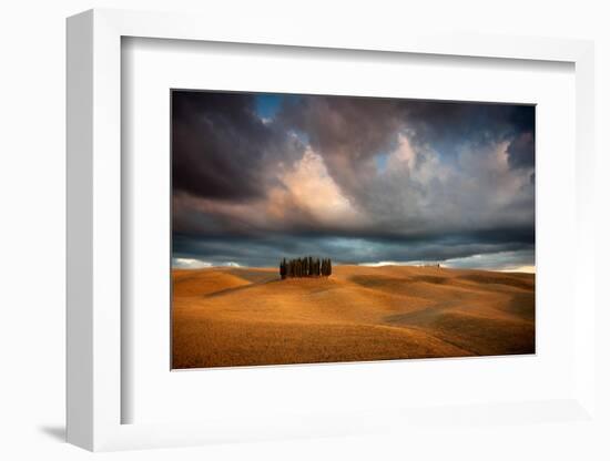 Cypresses-Marcin Sobas-Framed Photographic Print