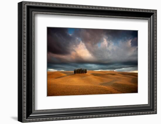 Cypresses-Marcin Sobas-Framed Photographic Print