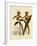 Cypripedium Insigne Punctatum Violaceum-John Nugent Fitch-Framed Giclee Print