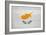 Cyprus Flag Design with Wood Patterning - Flags of the World Series-Philippe Hugonnard-Framed Premium Giclee Print