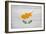 Cyprus Flag Design with Wood Patterning - Flags of the World Series-Philippe Hugonnard-Framed Premium Giclee Print