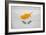 Cyprus Flag Design with Wood Patterning - Flags of the World Series-Philippe Hugonnard-Framed Premium Giclee Print