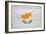 Cyprus Flag Design with Wood Patterning - Flags of the World Series-Philippe Hugonnard-Framed Art Print