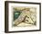 Cyprus, Syria, Babylonia and Judea-Ptolemy-Framed Art Print