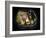 Cystic Pancreas Tumour, CT Scan-ZEPHYR-Framed Photographic Print