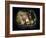 Cystic Pancreas Tumour, CT Scan-ZEPHYR-Framed Photographic Print