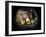 Cystic Pancreas Tumour, CT Scan-ZEPHYR-Framed Photographic Print