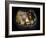 Cystic Pancreas Tumour, CT Scan-ZEPHYR-Framed Photographic Print