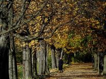 A Man Strolls Through Lazienki Park on a Crisp Autumn Morning in Warsaw, Poland, October 30, 2006-Czarek Sokolowski-Mounted Photographic Print