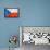 Czech Flag-daboost-Framed Stretched Canvas displayed on a wall