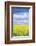 Czech Republic, Bohemia, Canola Field and Clouds-Rob Tilley-Framed Photographic Print