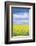 Czech Republic, Bohemia, Canola Field and Clouds-Rob Tilley-Framed Photographic Print