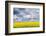 Czech Republic, Bohemia, Canola Field and Clouds-Rob Tilley-Framed Photographic Print