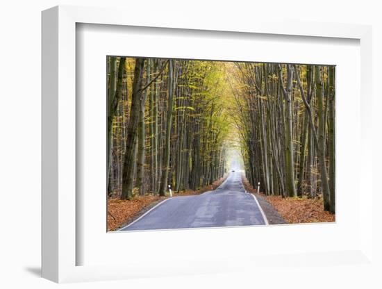 Czech Republic, Bohemia. Road in Autumn-Emily Wilson-Framed Photographic Print