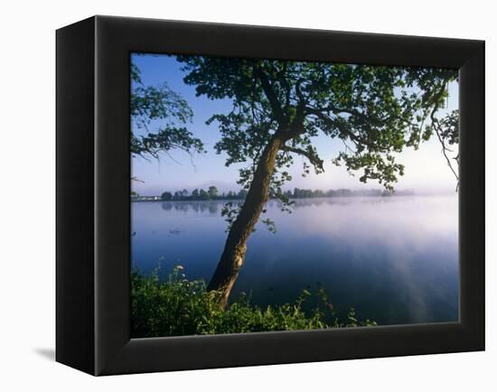 Czech Republic, Fishponds and Wetlands, Trebon-Paul Harris-Framed Premier Image Canvas