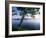 Czech Republic, Fishponds and Wetlands, Trebon-Paul Harris-Framed Photographic Print