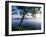 Czech Republic, Fishponds and Wetlands, Trebon-Paul Harris-Framed Photographic Print