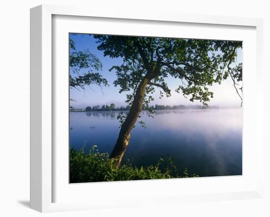 Czech Republic, Fishponds and Wetlands, Trebon-Paul Harris-Framed Photographic Print