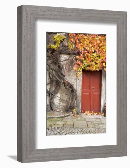 Czech Republic, Liberec, Skala. the Skala Castle-Emily Wilson-Framed Photographic Print