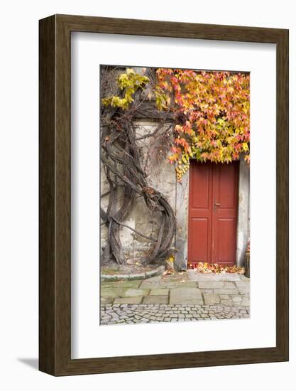 Czech Republic, Liberec, Skala. the Skala Castle-Emily Wilson-Framed Photographic Print