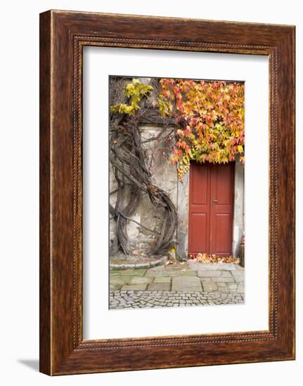 Czech Republic, Liberec, Skala. the Skala Castle-Emily Wilson-Framed Photographic Print