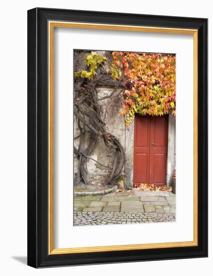 Czech Republic, Liberec, Skala. the Skala Castle-Emily Wilson-Framed Photographic Print