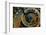 Czech Republic, Prague. Close-up of astronomical clock in Old Town Square.-Jaynes Gallery-Framed Photographic Print