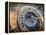 Czech Republic, Prague, Stare Mesto (Old Town), Astronomical Clock-Michele Falzone-Framed Premier Image Canvas