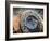 Czech Republic, Prague, Stare Mesto (Old Town), Astronomical Clock-Michele Falzone-Framed Photographic Print