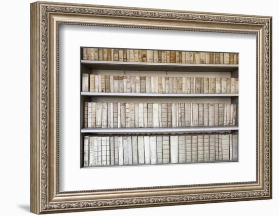 Czech Republic Prague, Strahov Monastery Library-null-Framed Photographic Print