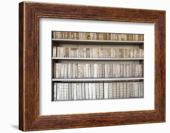 Czech Republic Prague, Strahov Monastery Library-null-Framed Photographic Print