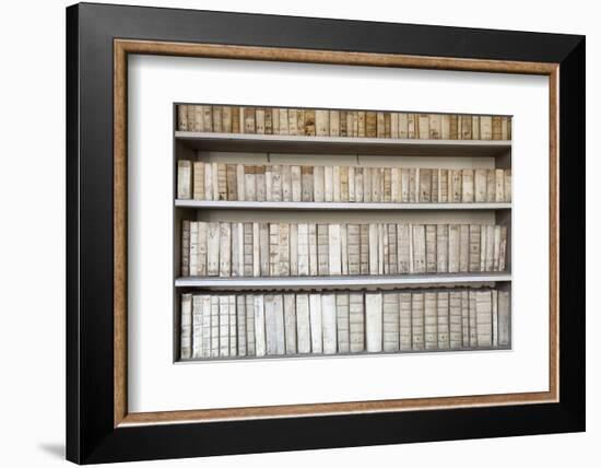 Czech Republic Prague, Strahov Monastery Library-null-Framed Photographic Print