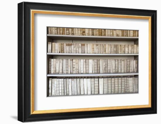 Czech Republic Prague, Strahov Monastery Library-null-Framed Photographic Print