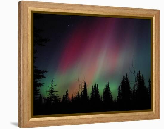 D. Aurora Borealis Alaska Red Skies Northern Lights Copper Center Alaska-pinky-Framed Premier Image Canvas