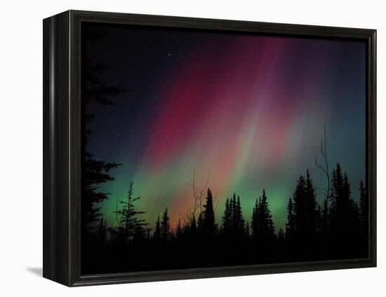 D. Aurora Borealis Alaska Red Skies Northern Lights Copper Center Alaska-pinky-Framed Premier Image Canvas