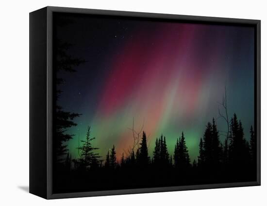 D. Aurora Borealis Alaska Red Skies Northern Lights Copper Center Alaska-pinky-Framed Premier Image Canvas