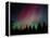 D. Aurora Borealis Alaska Red Skies Northern Lights Copper Center Alaska-pinky-Framed Premier Image Canvas