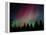 D. Aurora Borealis Alaska Red Skies Northern Lights Copper Center Alaska-pinky-Framed Premier Image Canvas