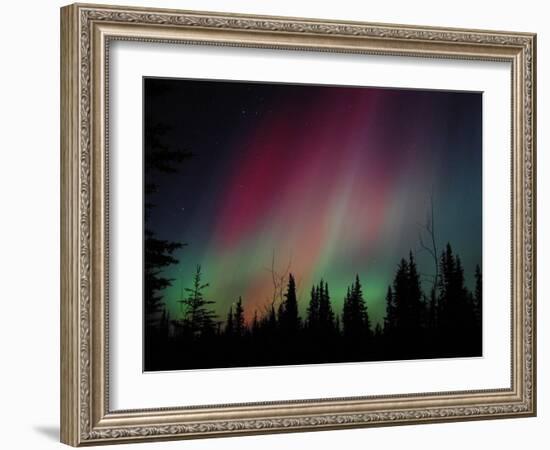 D. Aurora Borealis Alaska Red Skies Northern Lights Copper Center Alaska-pinky-Framed Photographic Print