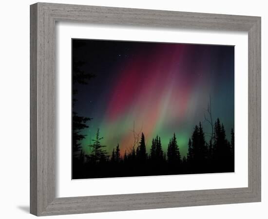 D. Aurora Borealis Alaska Red Skies Northern Lights Copper Center Alaska-pinky-Framed Photographic Print