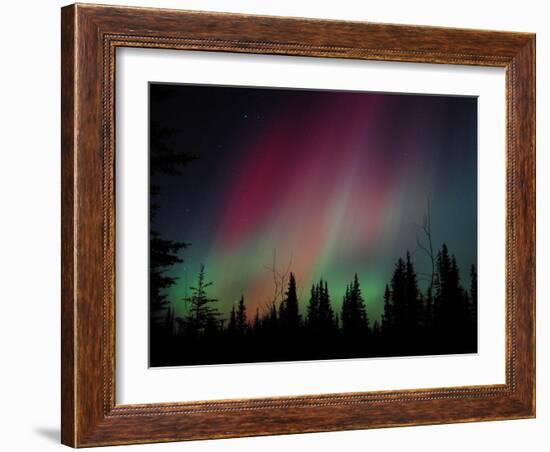 D. Aurora Borealis Alaska Red Skies Northern Lights Copper Center Alaska-pinky-Framed Photographic Print