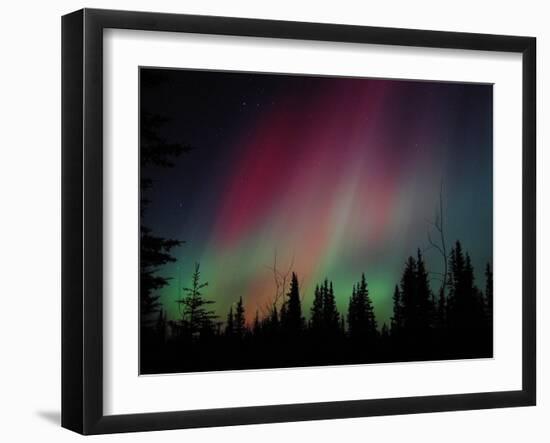 D. Aurora Borealis Alaska Red Skies Northern Lights Copper Center Alaska-pinky-Framed Photographic Print