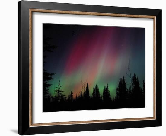 D. Aurora Borealis Alaska Red Skies Northern Lights Copper Center Alaska-pinky-Framed Photographic Print