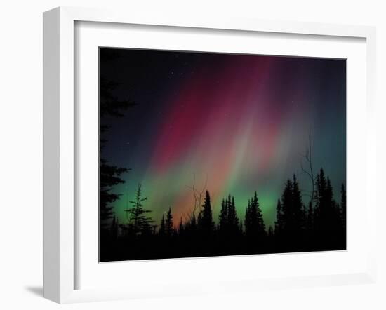 D. Aurora Borealis Alaska Red Skies Northern Lights Copper Center Alaska-pinky-Framed Photographic Print