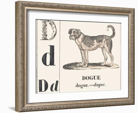 D for Dogue, 1850 (Engraving)-Louis Simon (1810-1870) Lassalle-Framed Giclee Print