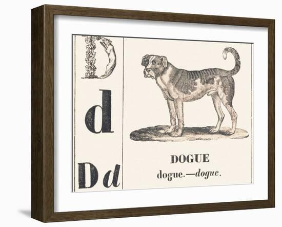 D for Dogue, 1850 (Engraving)-Louis Simon (1810-1870) Lassalle-Framed Giclee Print