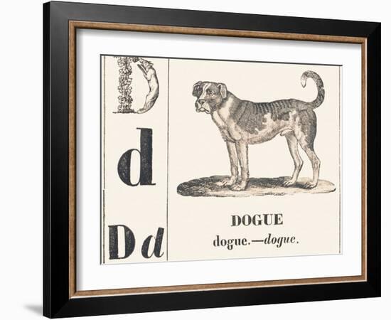 D for Dogue, 1850 (Engraving)-Louis Simon (1810-1870) Lassalle-Framed Giclee Print