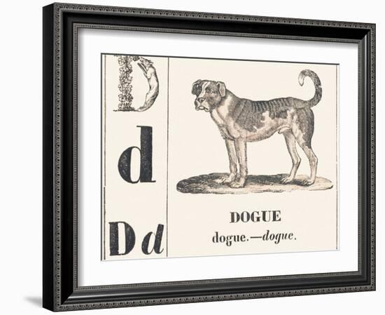D for Dogue, 1850 (Engraving)-Louis Simon (1810-1870) Lassalle-Framed Giclee Print